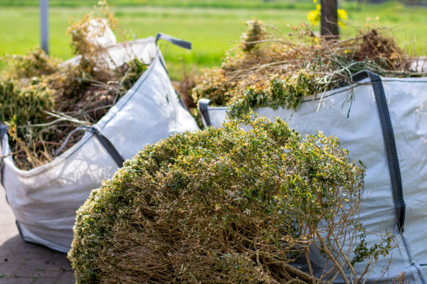 Best Household Junk Removal  in Quincy, FL